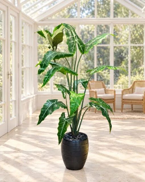 Alocasia Plant 160 cm styled in an interior — Neon Jungle Studios