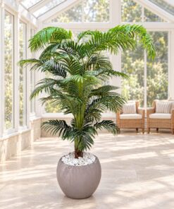 Areca Palm 180 cm styled in an interior — Neon Jungle Studios