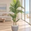 Areca Palm 2 trunks 140 cm styled in an interior — Neon Jungle Studios