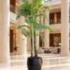 Areca Palm 220 cm 4 trunks styled in an interior — Neon Jungle Studios