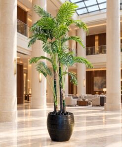 Areca Palm 220 cm 4 trunks styled in an interior — Neon Jungle Studios