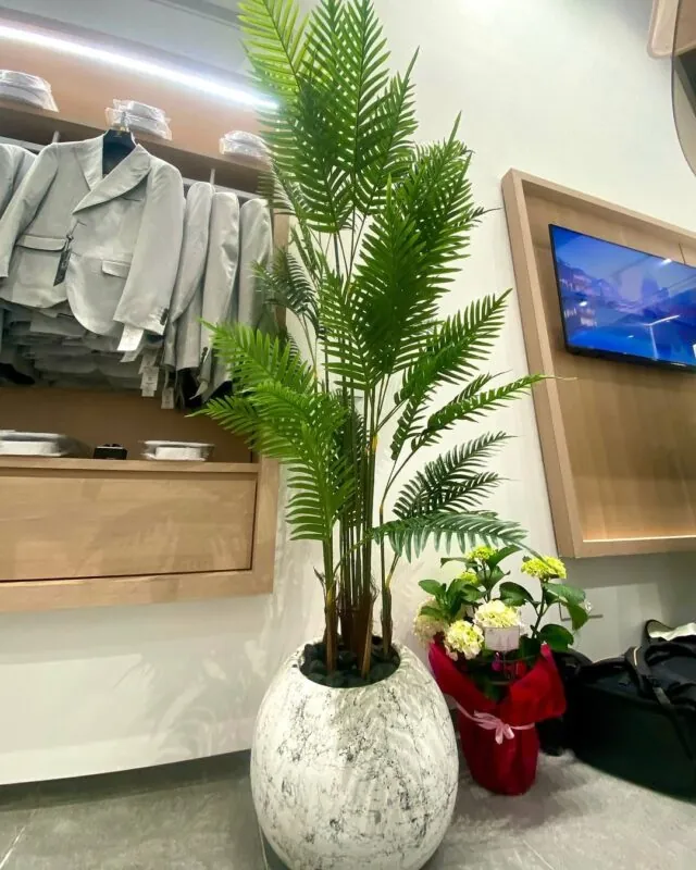 areca palm in a speckled white pot — clothing shop, Lebanon — installation by Neon Jungle Studios