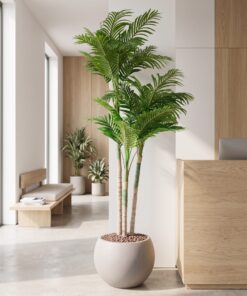 Areca Palm Trees 210 cm 3 trunks styled in an interior — Neon Jungle Studios