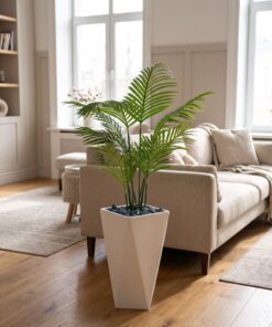 Areca Plant 100 cm styled in an interior — Neon Jungle Studios