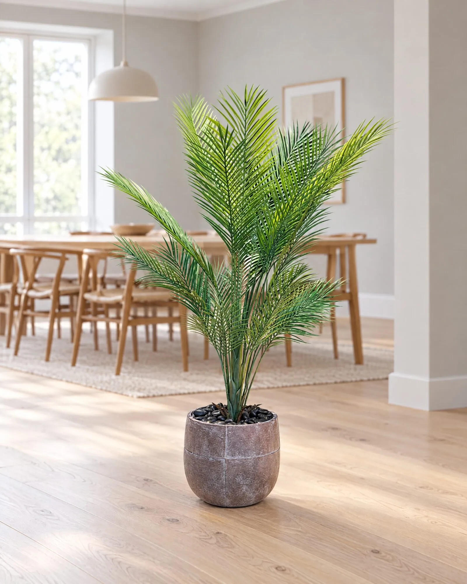 Areca Plant 110 cm styled in an interior — Neon Jungle Studios