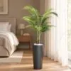 Areca Plant 110 cm styled in an interior — Neon Jungle Studios