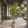 Areca Plant 160 cm styled in an interior — Neon Jungle Studios