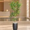 Bamboo Plant 135 cm styled in an interior — Neon Jungle Studios