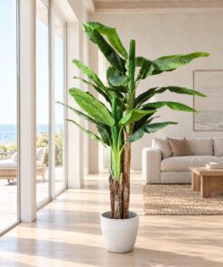 Banana Palm thick trunks styled in an interior — Neon Jungle Studios