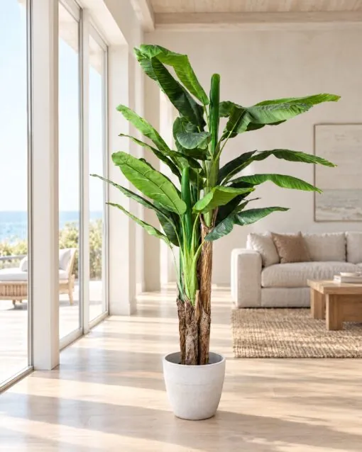 Banana Palm thick trunks styled in an interior — Neon Jungle Studios