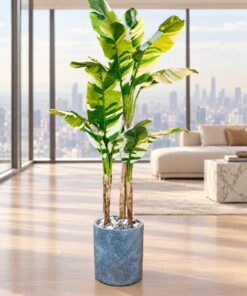 Banana Palm Variegated 190 cm styled in an interior — Neon Jungle Studios