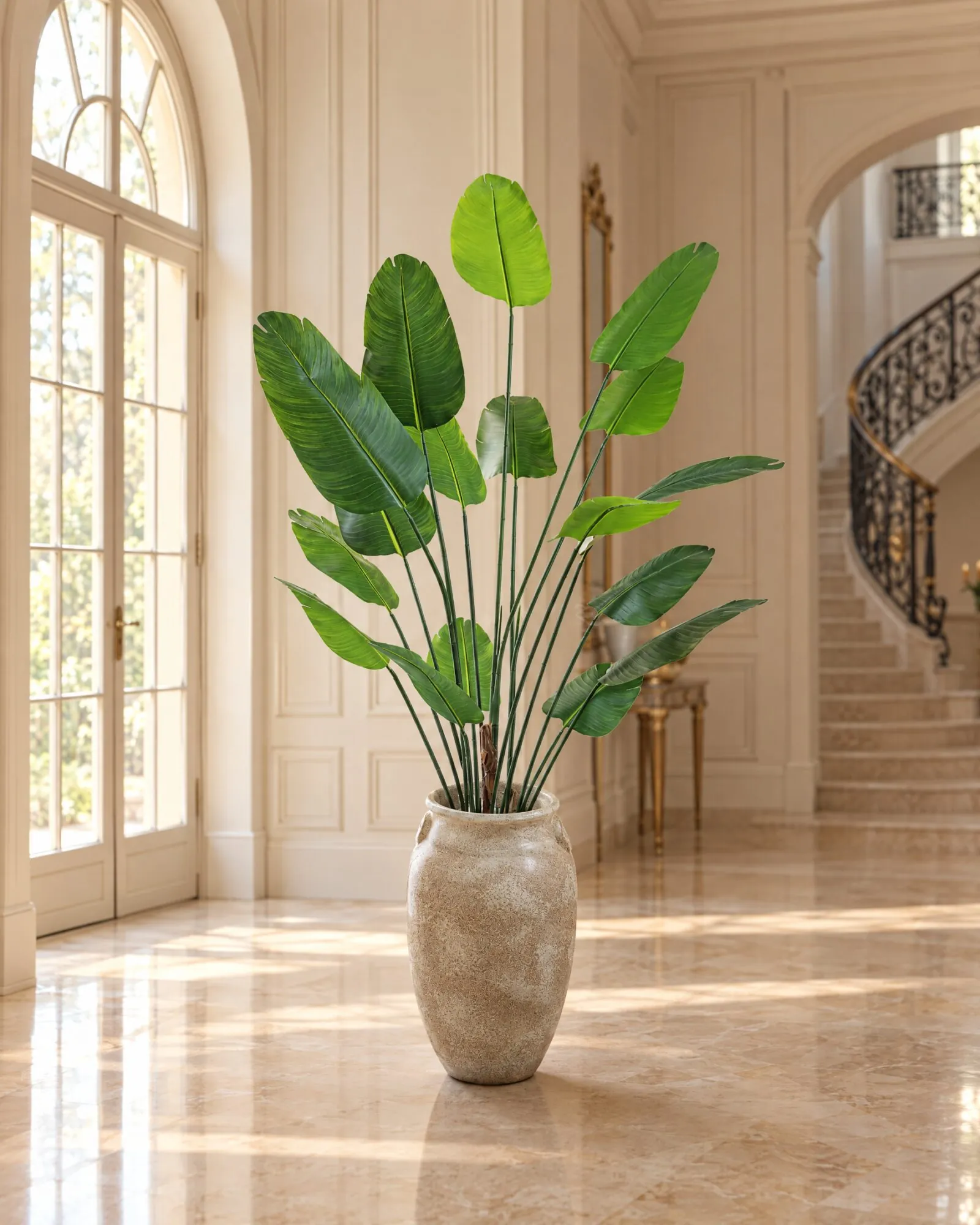Banana Plant styled in an interior — Neon Jungle Studios