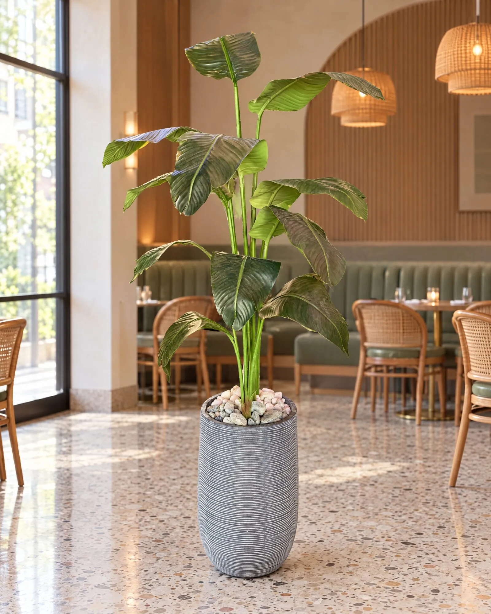 Banana Tree 200 cm dark green styled in an interior — Neon Jungle Studios