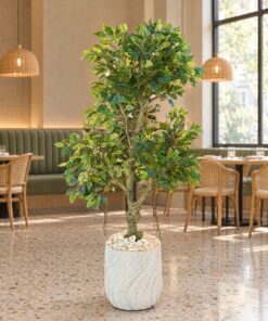 Banyan Tree 150 cm styled in an interior — Neon Jungle Studios