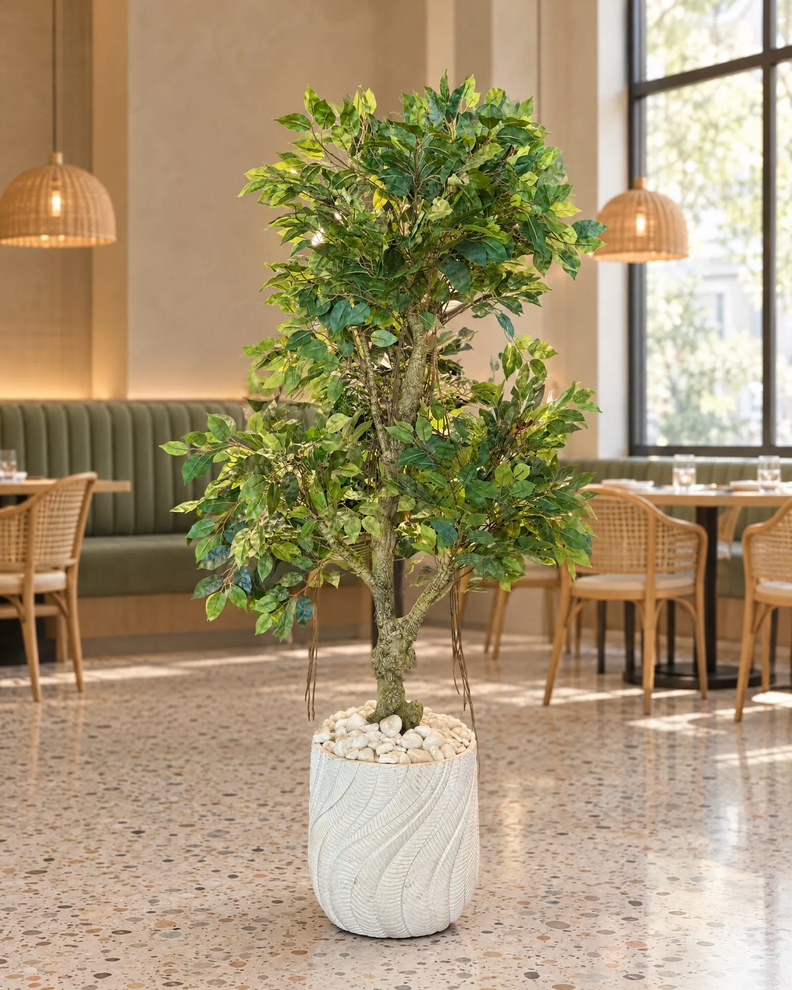 Banyan Tree 150 cm styled in an interior — Neon Jungle Studios