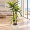 Bird's Nest Fern 3 Trunks 140 cm styled in an interior — Neon Jungle Studios