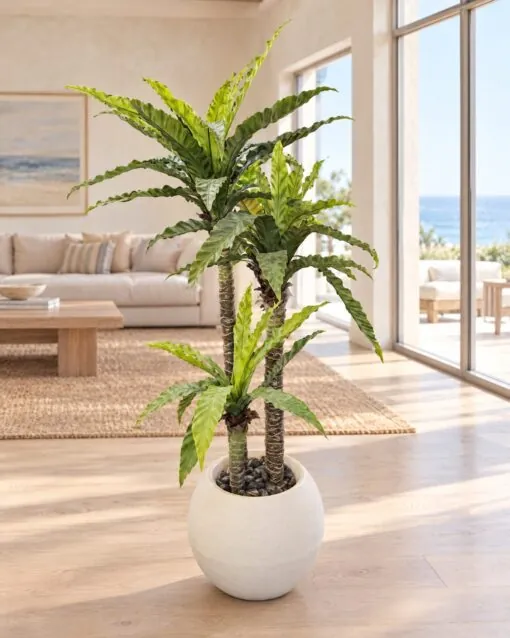 Bird's Nest Fern 3 Trunks 140 cm styled in an interior — Neon Jungle Studios