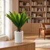 Bird's Nest Fern Shrub styled in an interior — Neon Jungle Studios