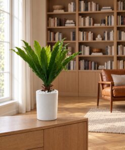 Bird's Nest Fern Shrub styled in an interior — Neon Jungle Studios