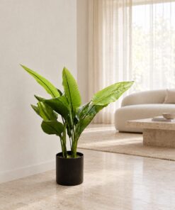 Birds of Paradise 70 cm styled in an interior — Neon Jungle Studios