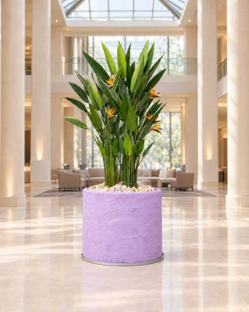 Birds of Paradise Arrangement with concrete pot (225 cm) styled in an interior — Neon Jungle Studios