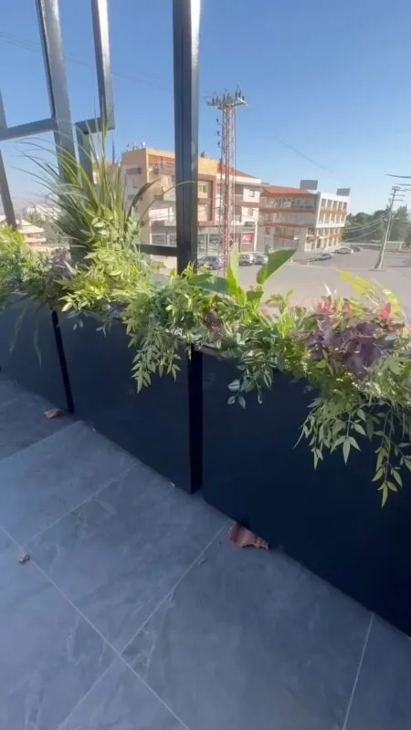 black planters of grasses and greenery — shop window, Lebanon — installation by Neon Jungle Studios