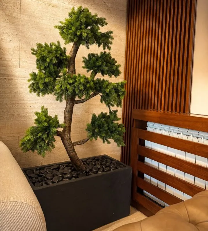 bonsai in a black box planter — home beside a slatted screen, Lebanon — installation by Neon Jungle Studios