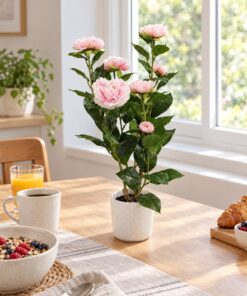 Camellia Plant 50 cm styled in an interior — Neon Jungle Studios