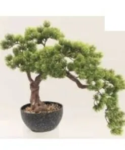 Cascade Pine Bonsai 50 cm – Neon Jungle Studios
