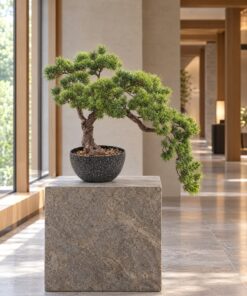 Cascade Pine Bonsai 50 cm styled in an interior — Neon Jungle Studios