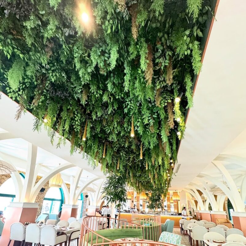 ceiling garden of trailing ferns — seaside restaurant, Lebanon — installation by Neon Jungle Studios