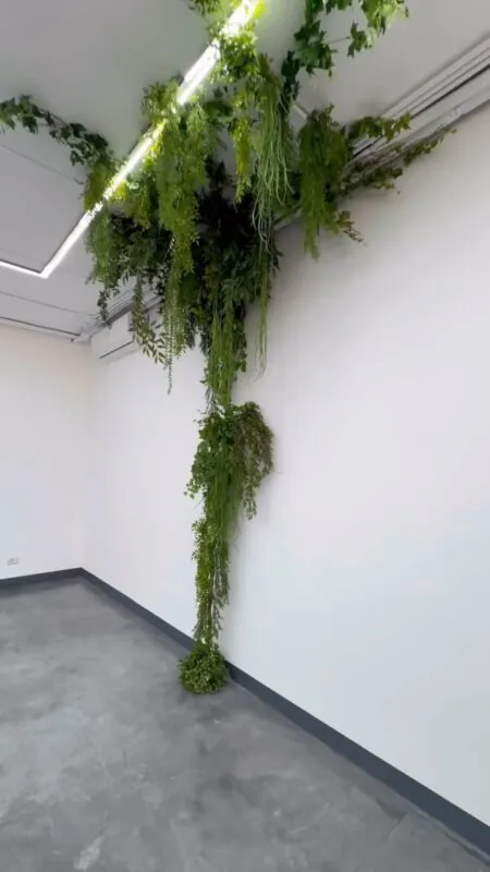 ceiling-high cascading greenery — interior wall, Lebanon — installation by Neon Jungle Studios