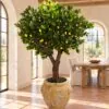 Custom Lemon Tree 200x200 cm styled in an interior — Neon Jungle Studios