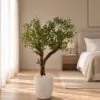 Custom Olive Tree 130x110 cm styled in an interior — Neon Jungle Studios