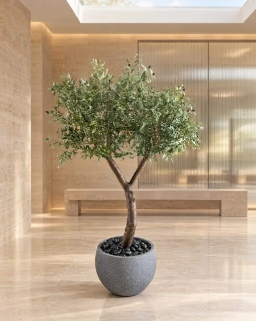 Custom Olive Tree 160x120 cm styled in an interior — Neon Jungle Studios
