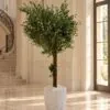 Custom Olive Tree 170x130 cm styled in an interior — Neon Jungle Studios