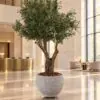 Custom Olive Tree 240x160 cm styled in an interior — Neon Jungle Studios