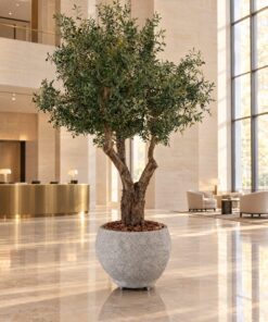 Custom Olive Tree 240x160 cm styled in an interior — Neon Jungle Studios