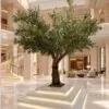 Custom Olive Tree 300x300 cm styled in an interior — Neon Jungle Studios
