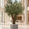 Custom Olive Tree Real wood 300x200 cm styled in an interior — Neon Jungle Studios