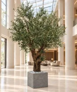 Custom Olive Tree Real wood 300x200 cm styled in an interior — Neon Jungle Studios