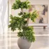 Custom Pine Bonsai 120x110x100 cm real treated wood styled in an interior — Neon Jungle Studios