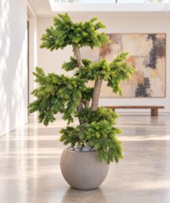 Custom Pine Bonsai 120x110x100 cm real treated wood styled in an interior — Neon Jungle Studios