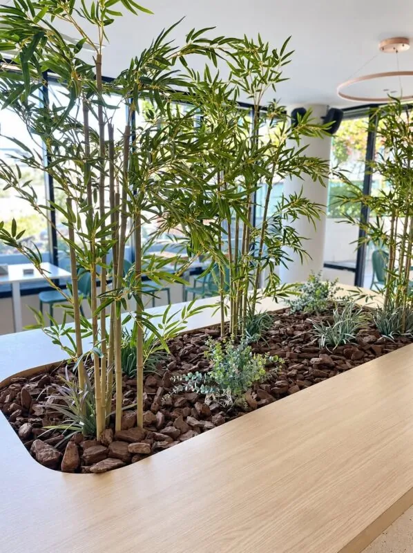 desk planter with bamboo and red pebbles — shared office desk, Lebanon — installation by Neon Jungle Studios