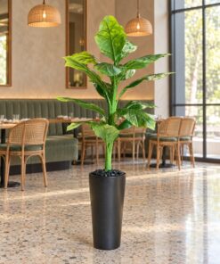 Dieffenbachia 125 cm styled in an interior — Neon Jungle Studios