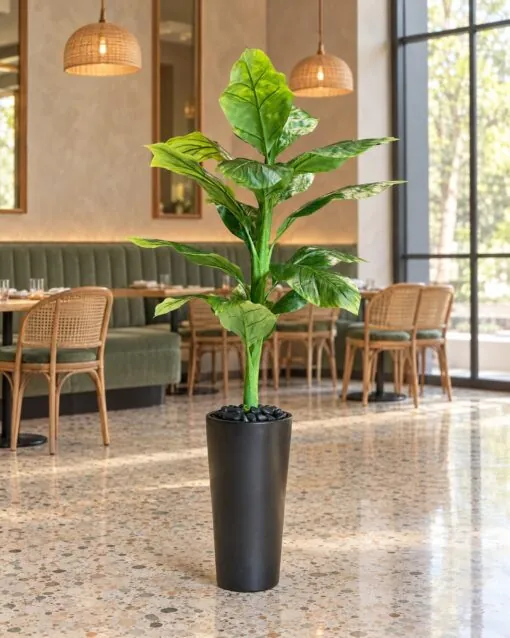 Dieffenbachia 125 cm styled in an interior — Neon Jungle Studios