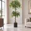 Double Ball Ficus Tree 150 cm styled in an interior — Neon Jungle Studios