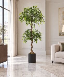 Double Ball Ficus Tree 150 cm styled in an interior — Neon Jungle Studios