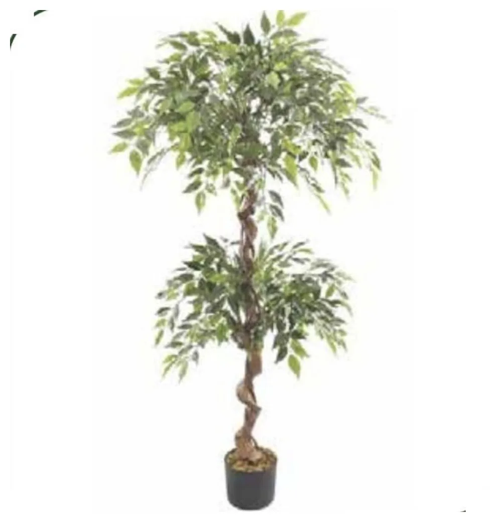 Double Ball Ficus Tree 150 cm – Neon Jungle Studios