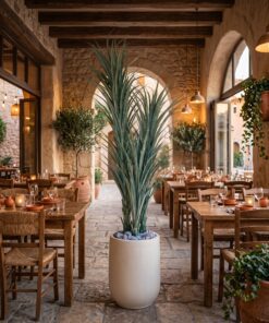 Dracaena Marginata 150 cm 3 stems styled in an interior — Neon Jungle Studios